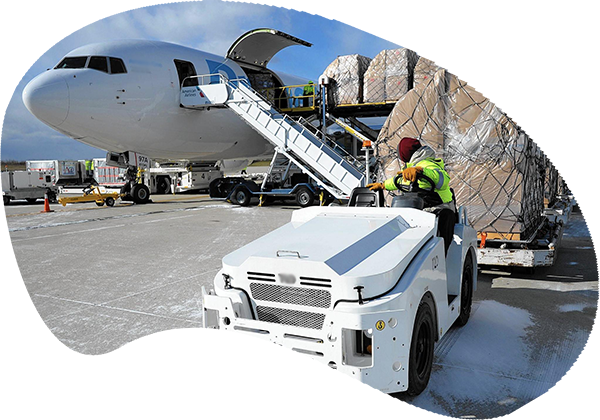 Standard Cargo