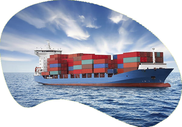 Standard Cargo
