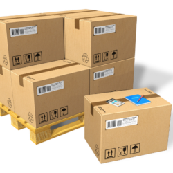Standard Cargo